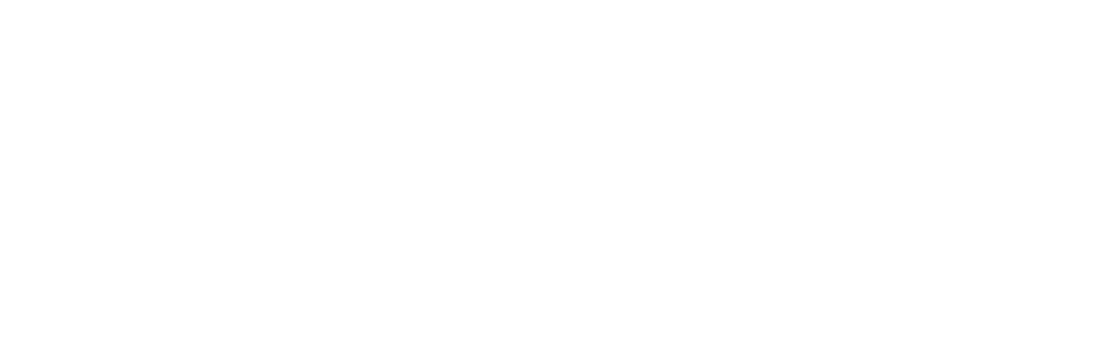 Sömnis VISA logga